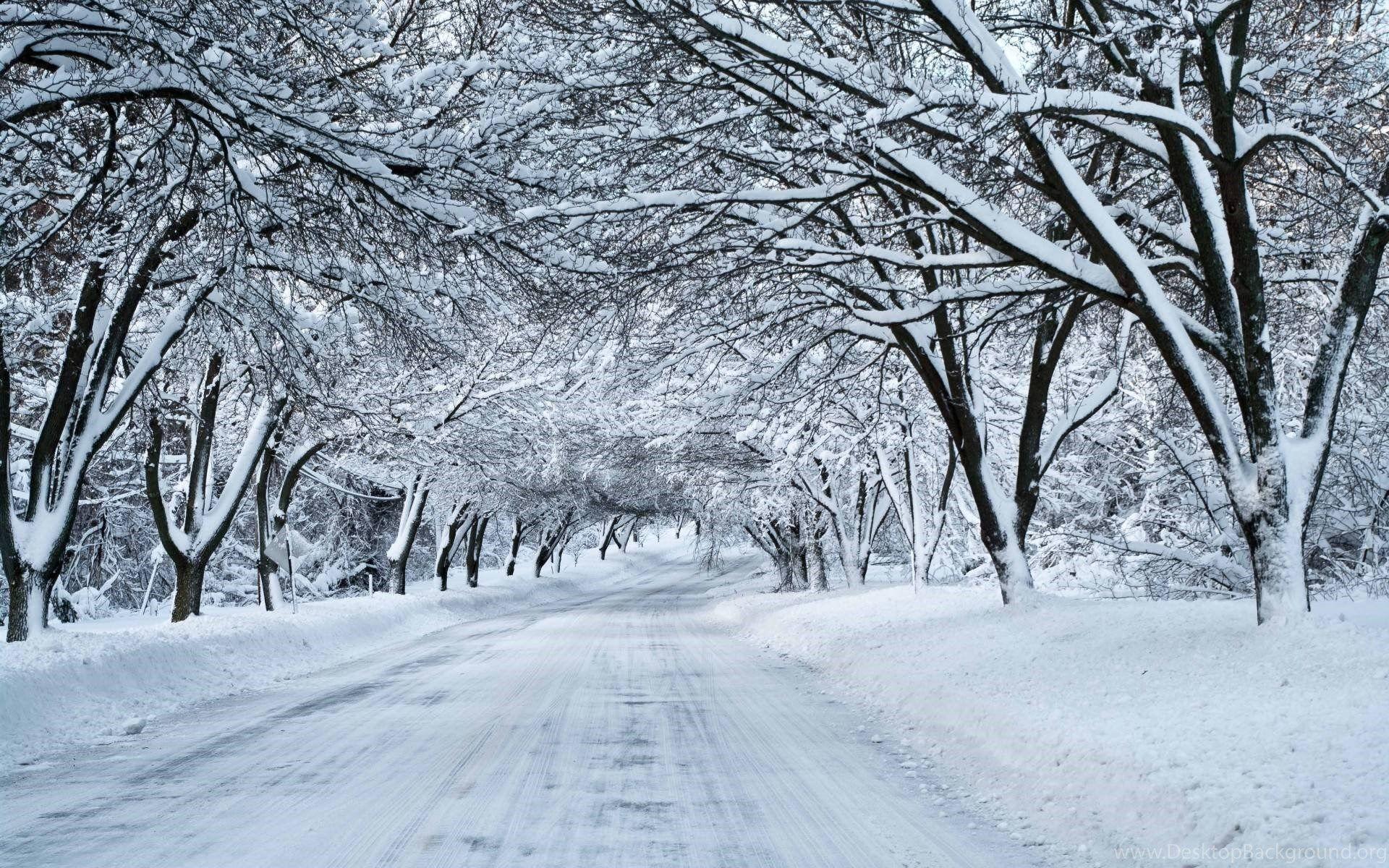 1920x1200 Snowy Desktop Background Desktop Background