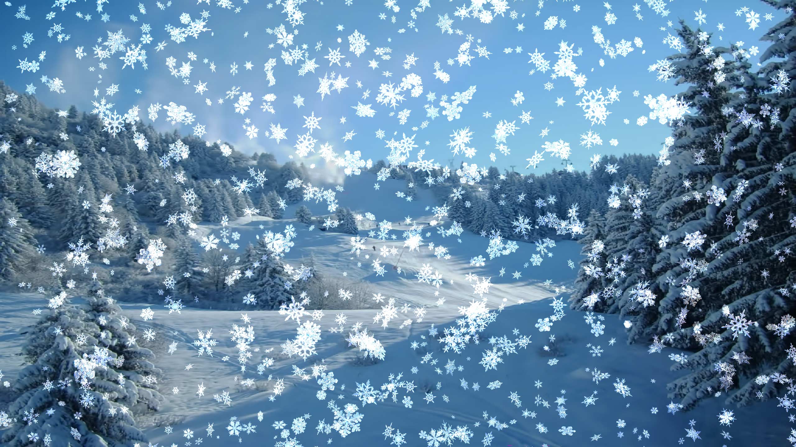 2560x1440 Snowy Deskd Screensaver Desktop Wallpaper & Background Download