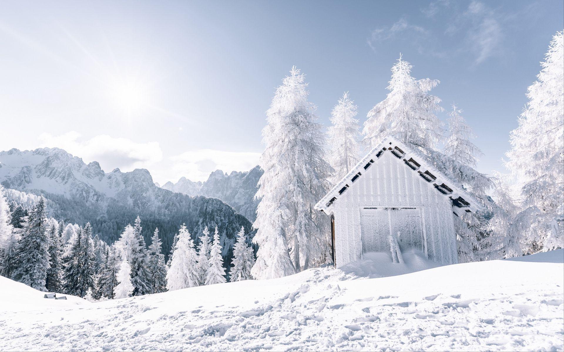 1920x1200 Snowy Background HD