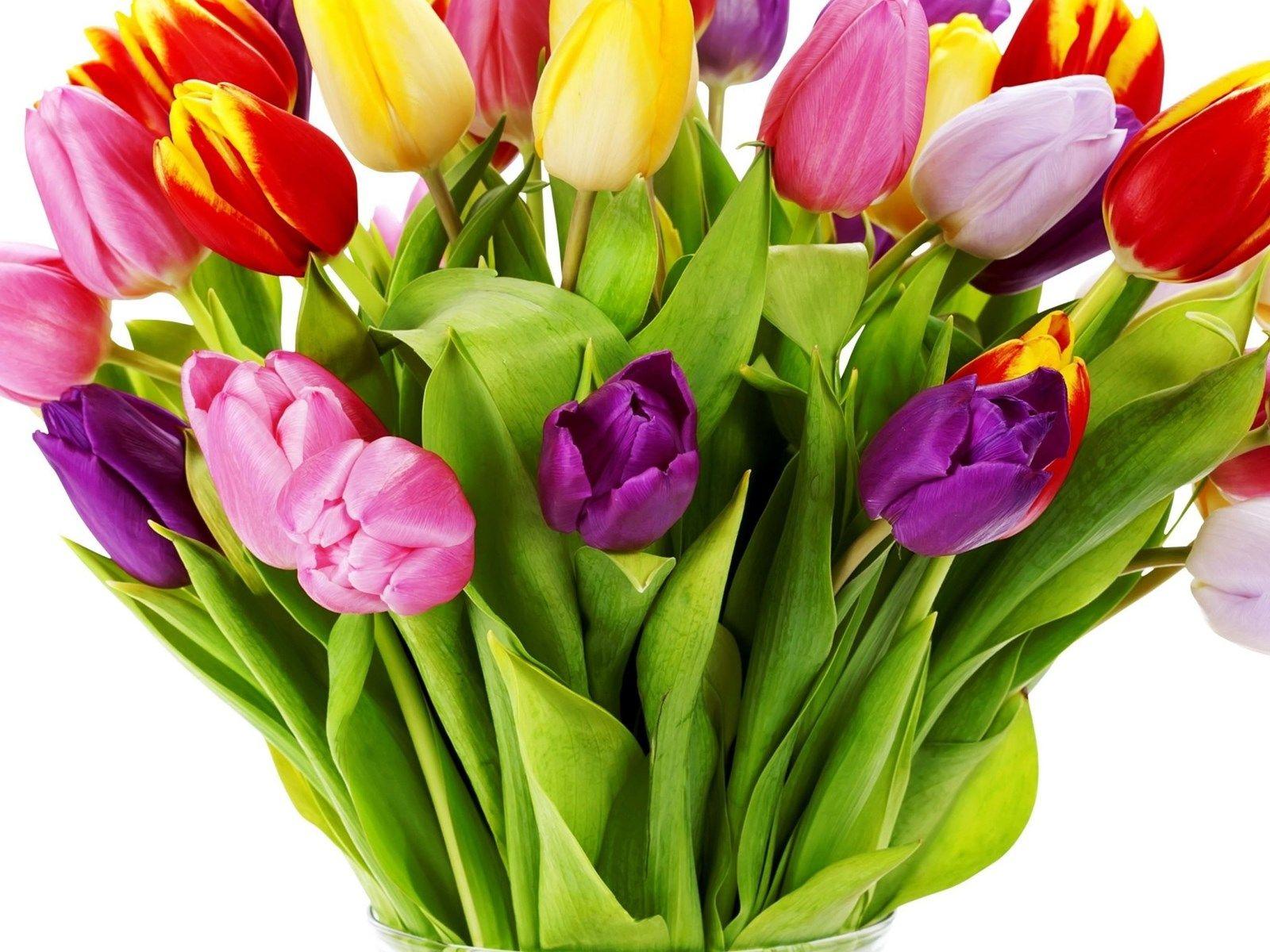 1600x1200 New iPad Air, iPad Mini Retina Flowers Wallpaper, Desktop. Desktop Background