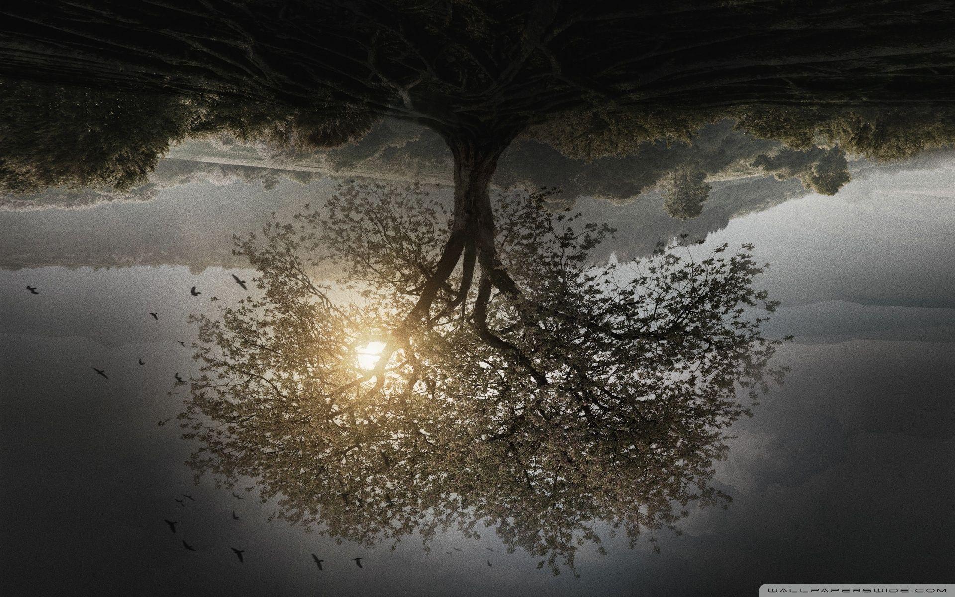 1920x1200 The Divergent Series Insurgent Tree Ultra HD Desktop Background Wallpaper for 4K UHD TV : Tablet