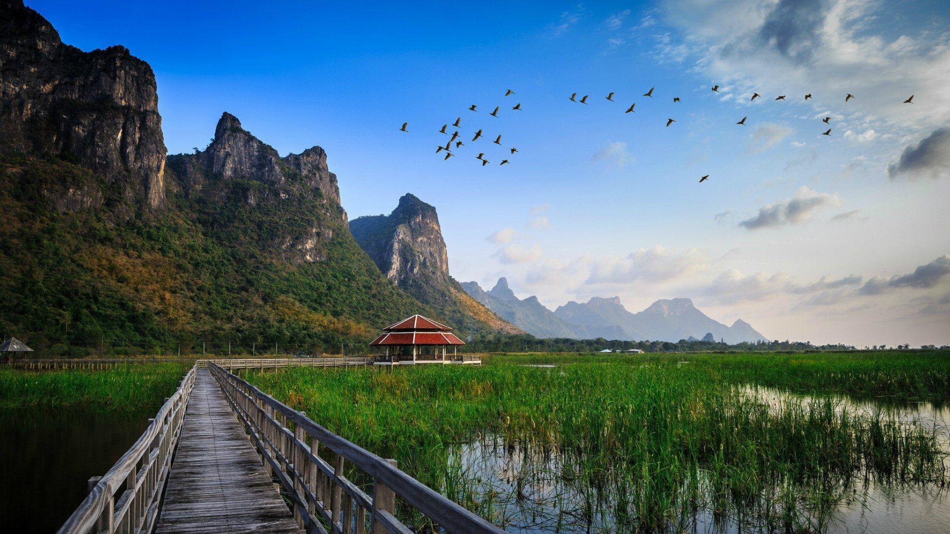 1920x1080 Wetlands in Thailand wallpaper and image, picture, photo