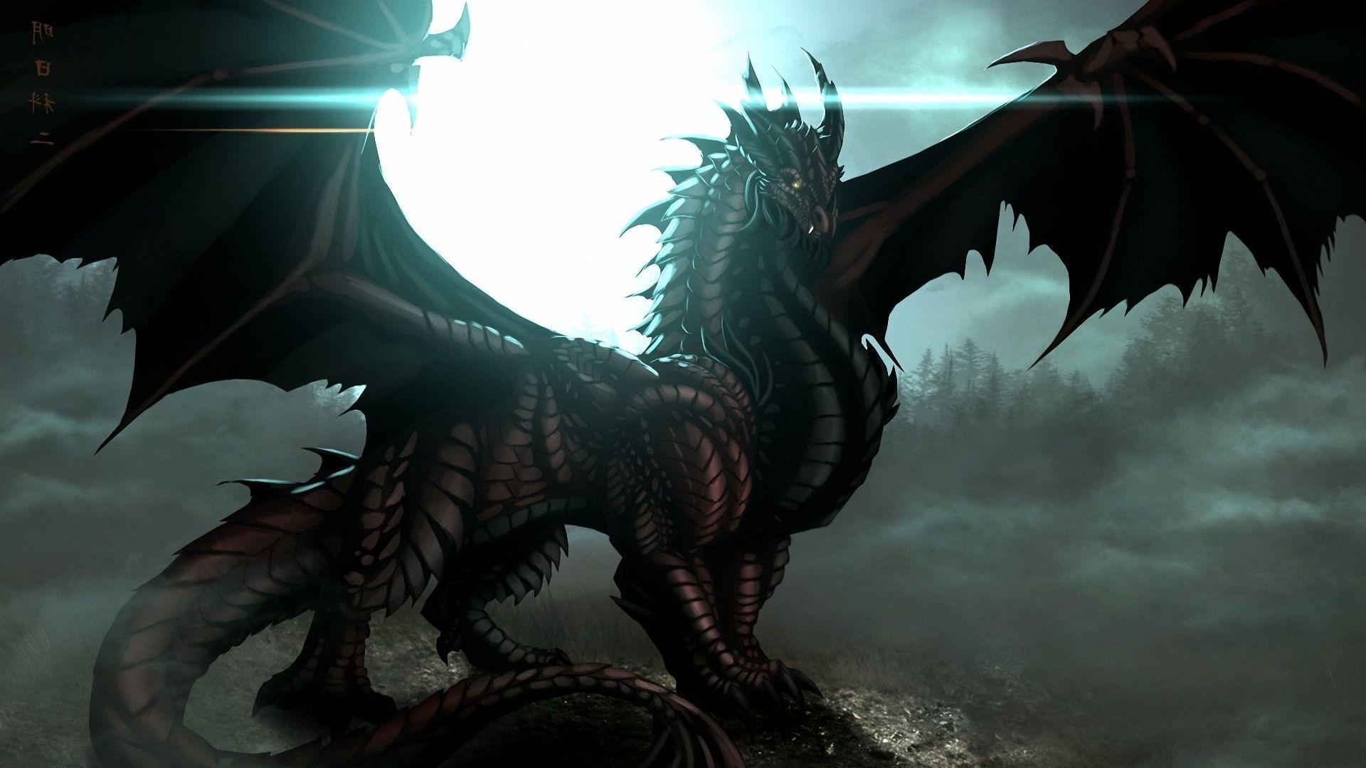 1920x1080 Free Dragon Wallpaper Downloads