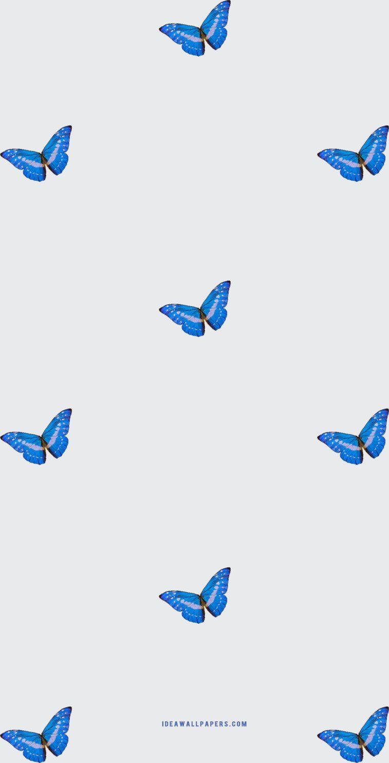 757x1485 iphone wallpaper pretty blue butterfly Wallpaper