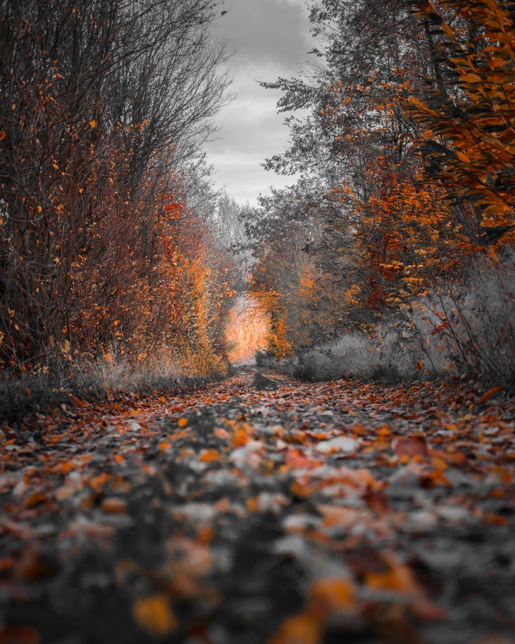 1040x1300 Best Wallpaper, Awesome, Nature, Spring, Wallpaper, HD