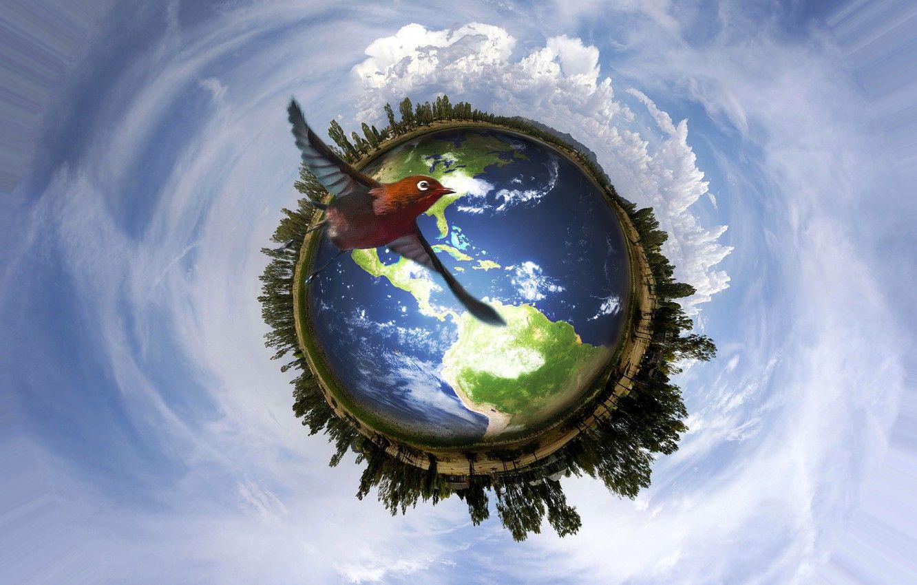 Peace On Earth Wallpapers - Top Free Peace On Earth Backgrounds