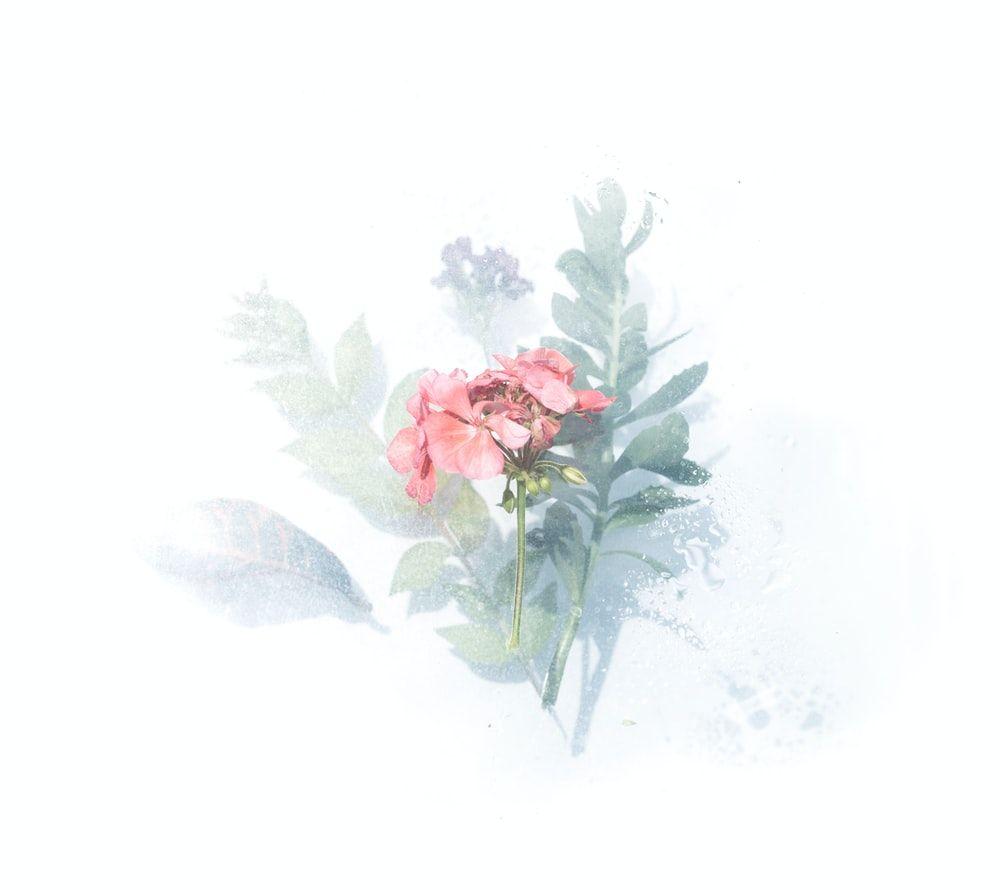 1000x890 Watercolor Background Image: Download HD Background