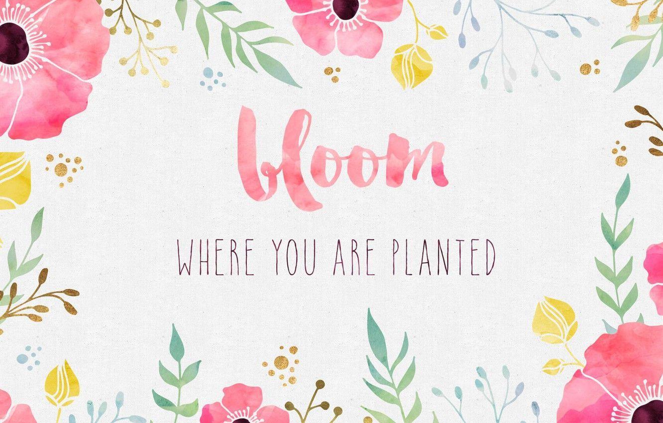 1332x850 Watercolor Quote Wallpaper