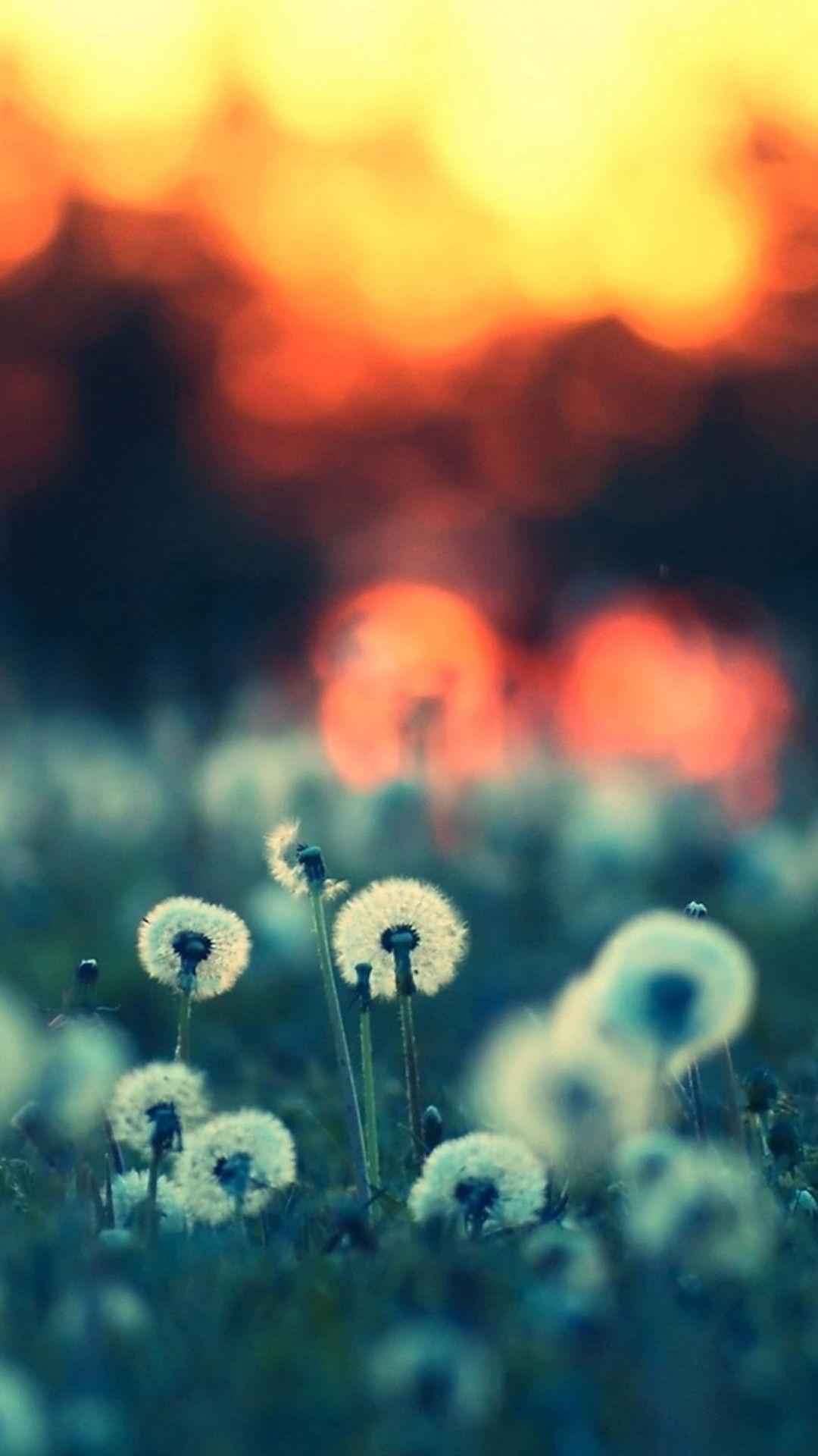 1080x1920 Sunset LG G2 Wallpaper HD LG G2 Wallpaper, LG Wallpaper. Fondo de iphone, Fondos, 1366x768 wallpaper