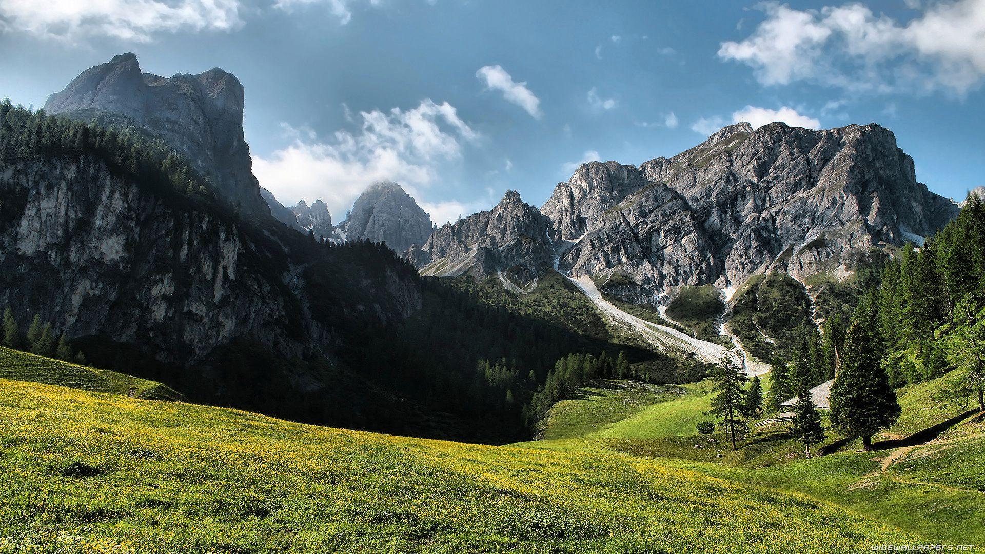 1920x1080 Beautiful Mountain Meadow wallpaperx1080