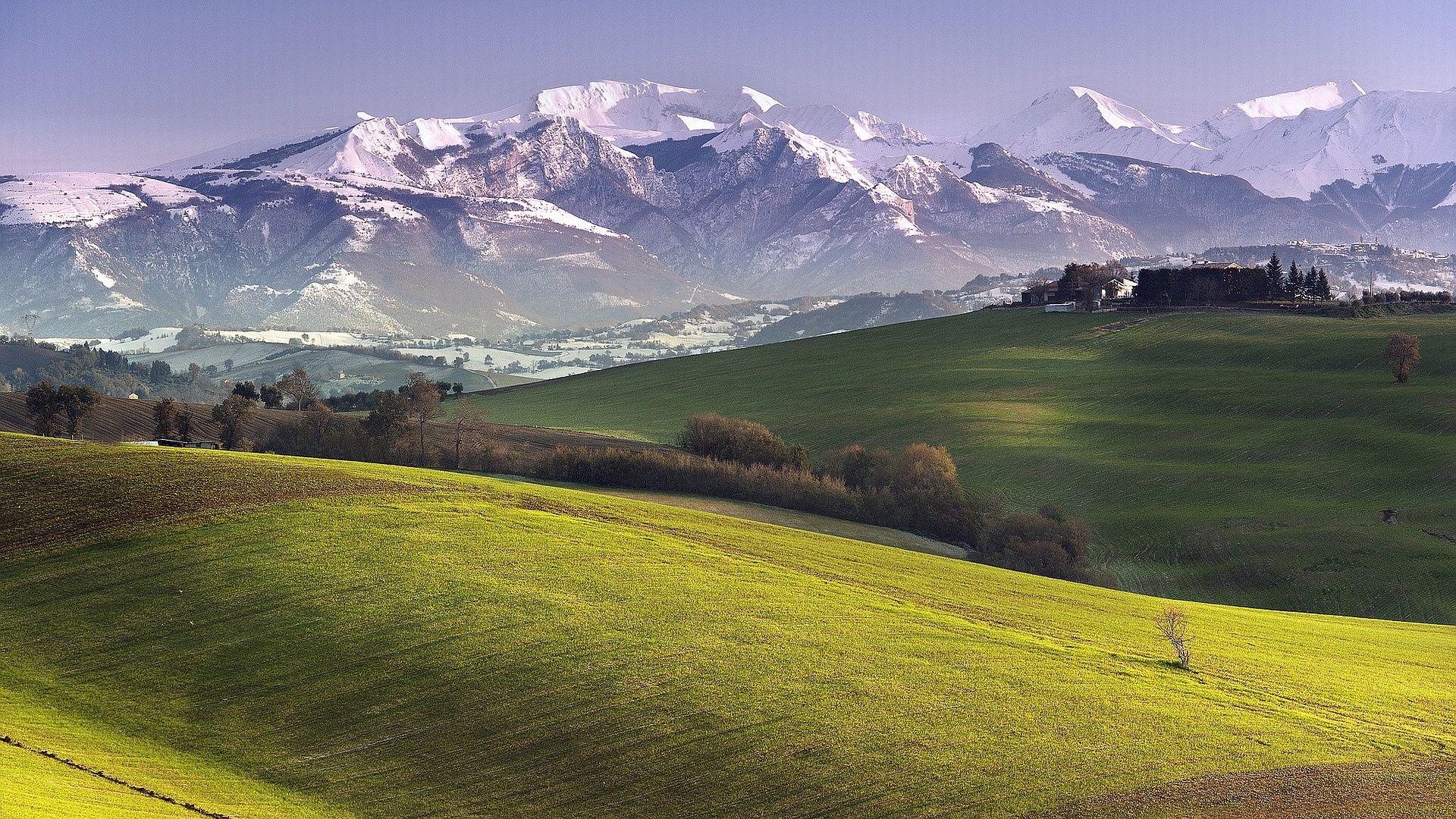 1920x1080 Mountain Meadow Background