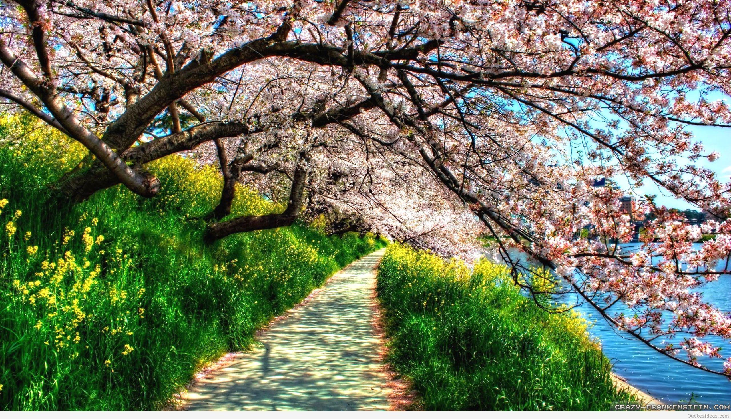 2560x1467 Awesome Spring wallpaper photo 2015 2016