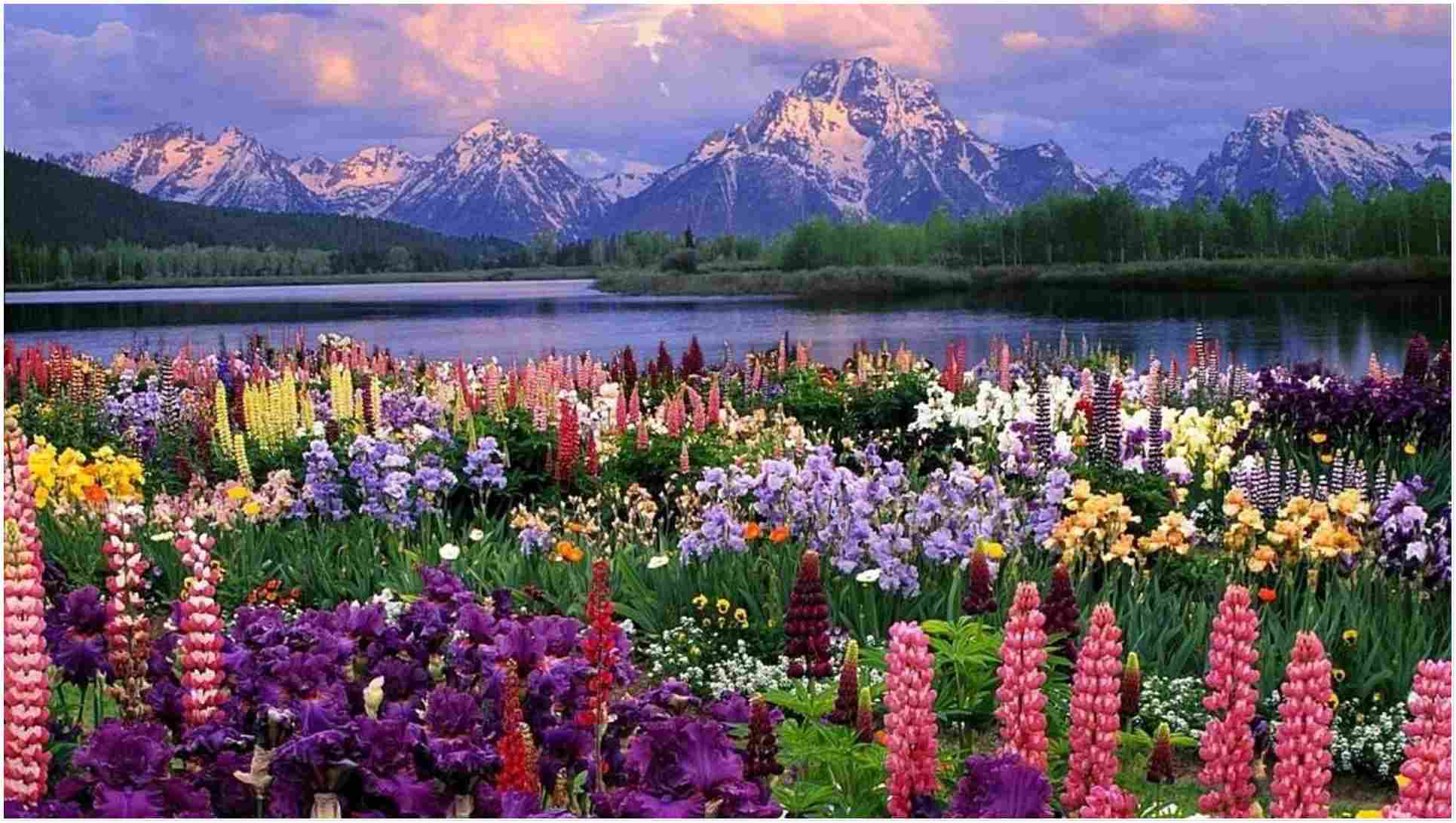 1931x1091 Latest 16 spring desktop wallpaper latest Update Wallpaper Wise