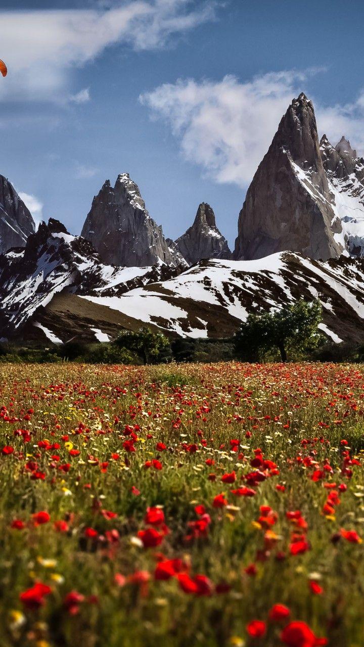 720x1280 Wallpaper Uetliberg, 5k, 4k wallpaper, Switzerland, Mountains, meadows, poppy, OS