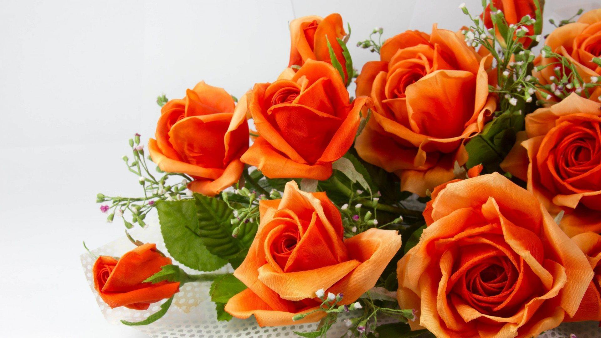 1920x1080 Orange Roses wallpaperx1080
