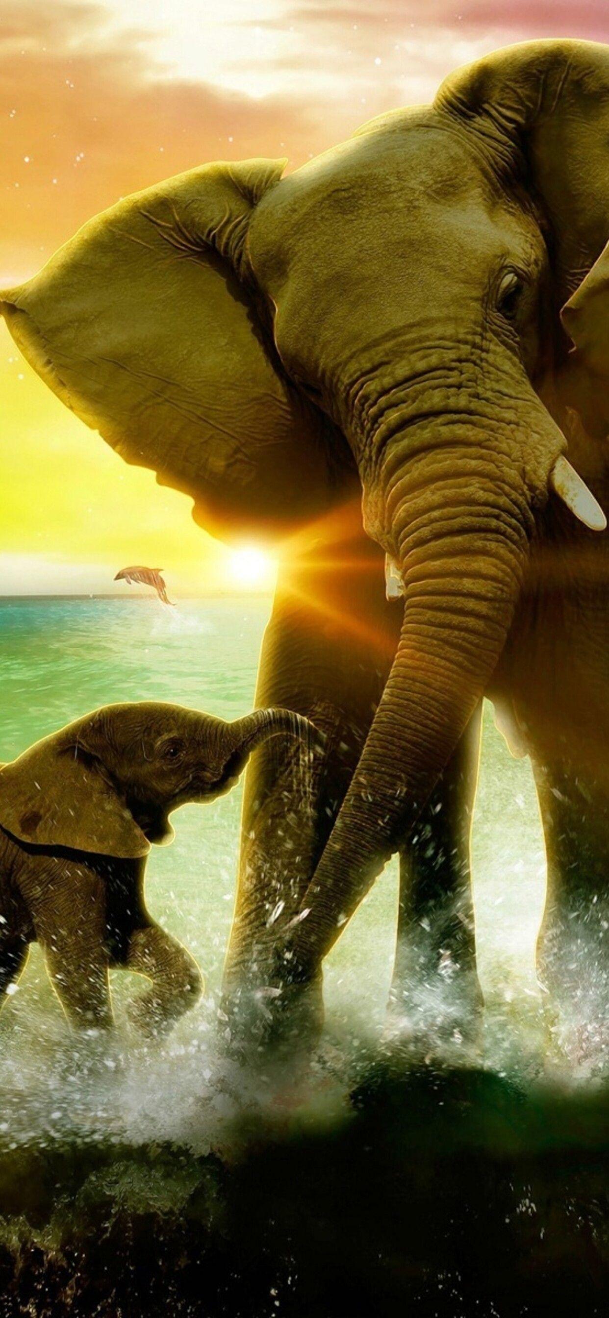 1242x2688 Beautiful love between mother and son elephant