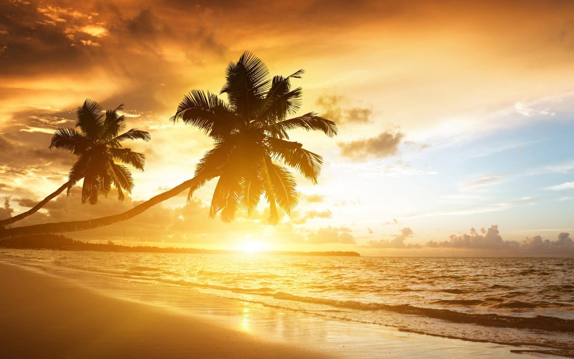 1920x1200 Beach Sunset Beautiful Widescreen Hd Wallpaper PowerUp 2019