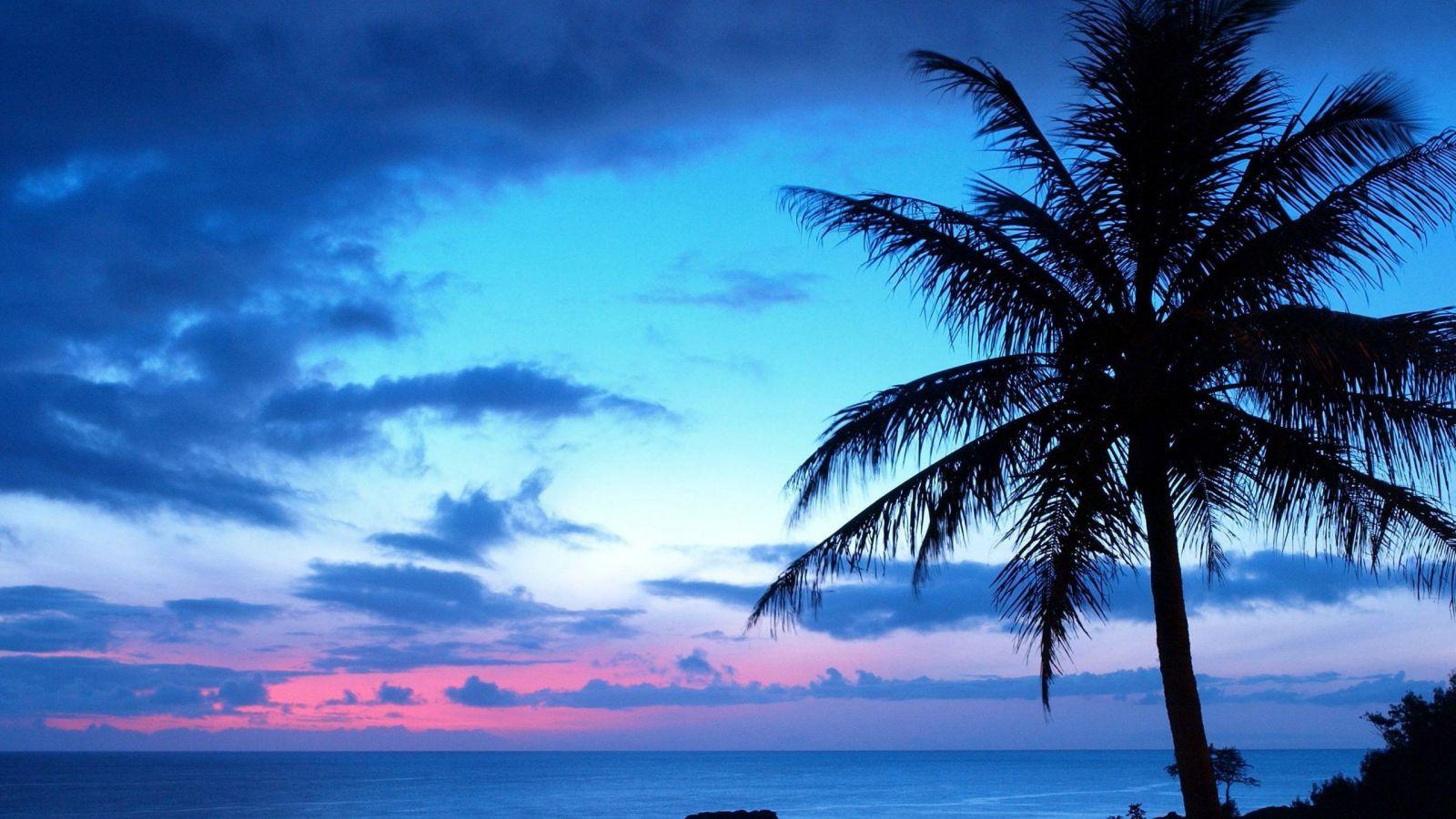 1600x900 Free download 45 Pink Blue Sunset Beach Wallpaper Download [2560x1600] for your Desktop, Mobile & Tablet. Explore The Beach Wallpaper. Beautiful Beach Wallpaper, Seashells on the Beach