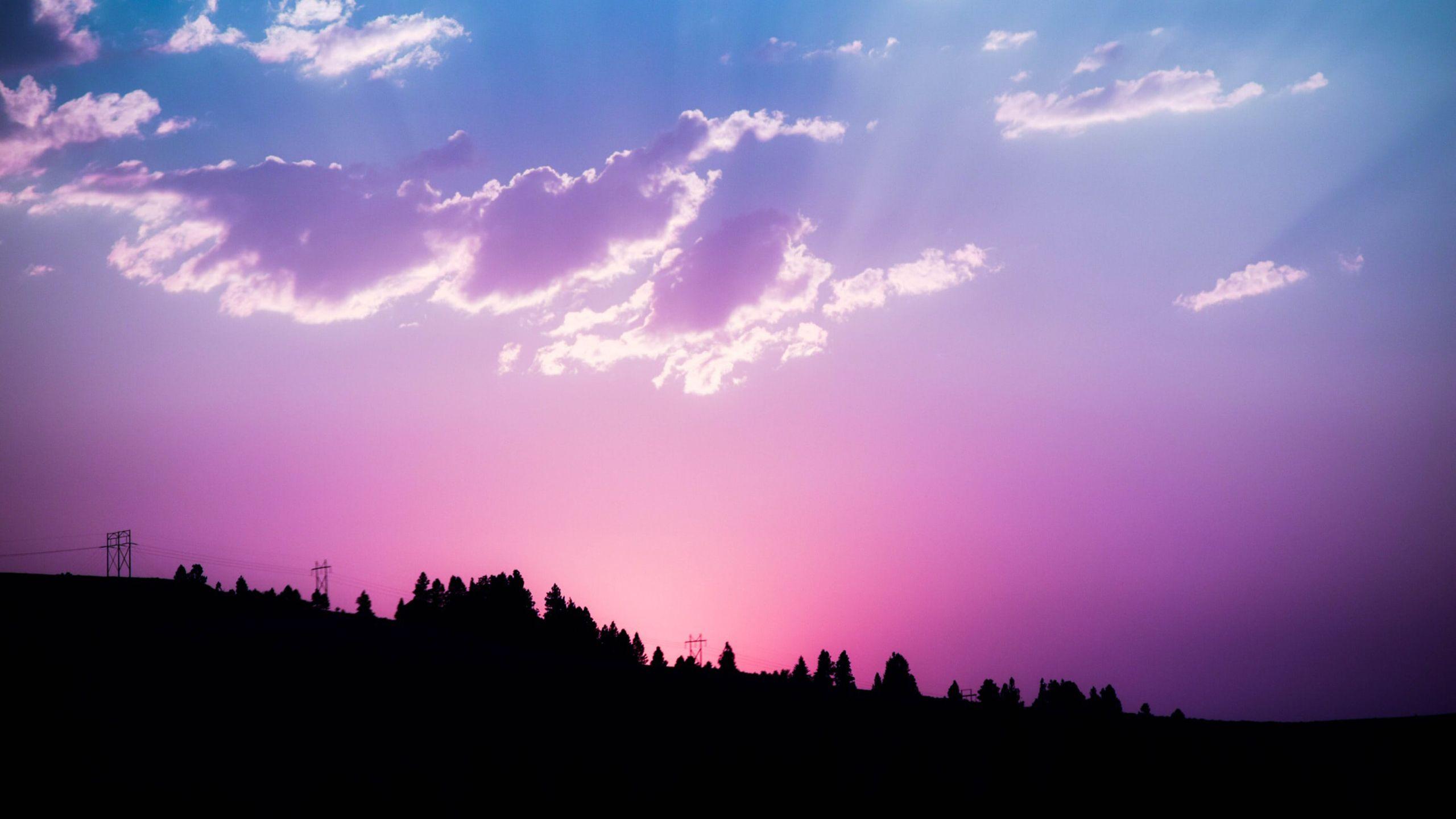 2560x1440 Pink Sunset Wallpaper
