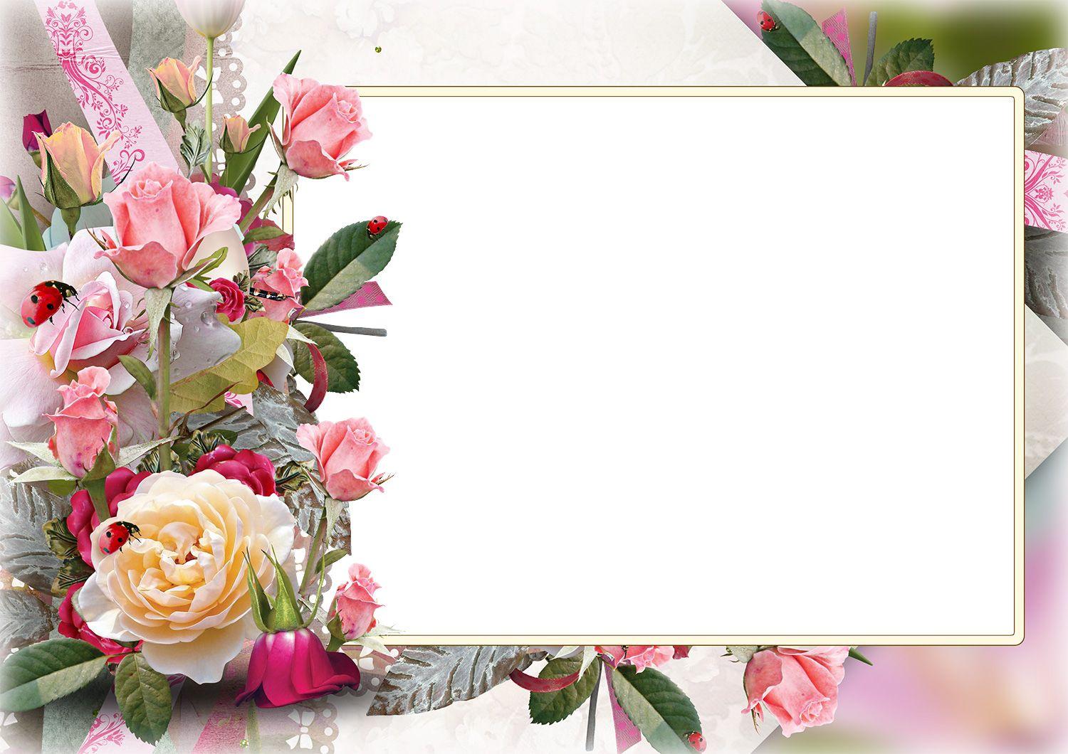 Flower Frame HD Wallpapers Top Free Flower Frame HD Backgrounds