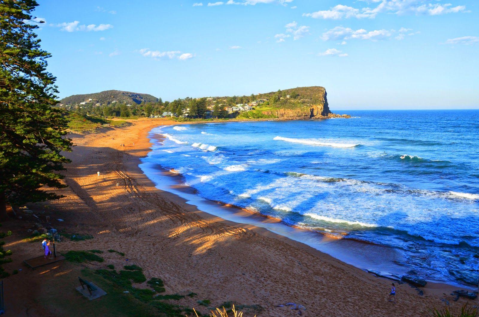 1600x1059 Avalon Beach HD Wallpaper Beach Sydney Australia Wallpaper & Background Download