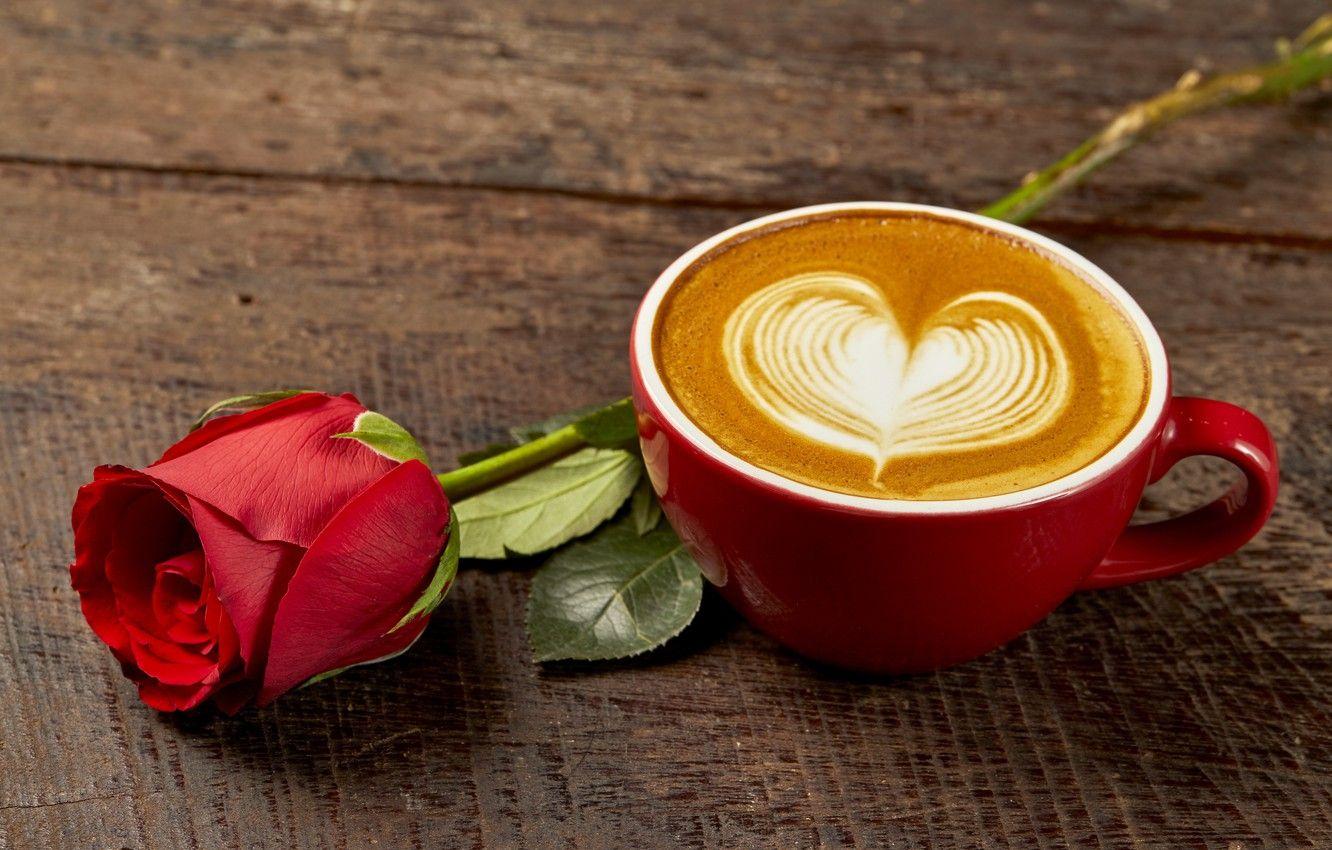 1332x850 Wallpaper love, heart, coffee, roses, Bud, Cup, red, love, rose, red rose, cappuccino, heart, wood, cup, romantic, coffee image for desktop, section настроения