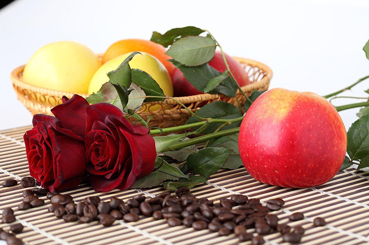 1280x853 Photos rose Coffee Grain Apples flower Food