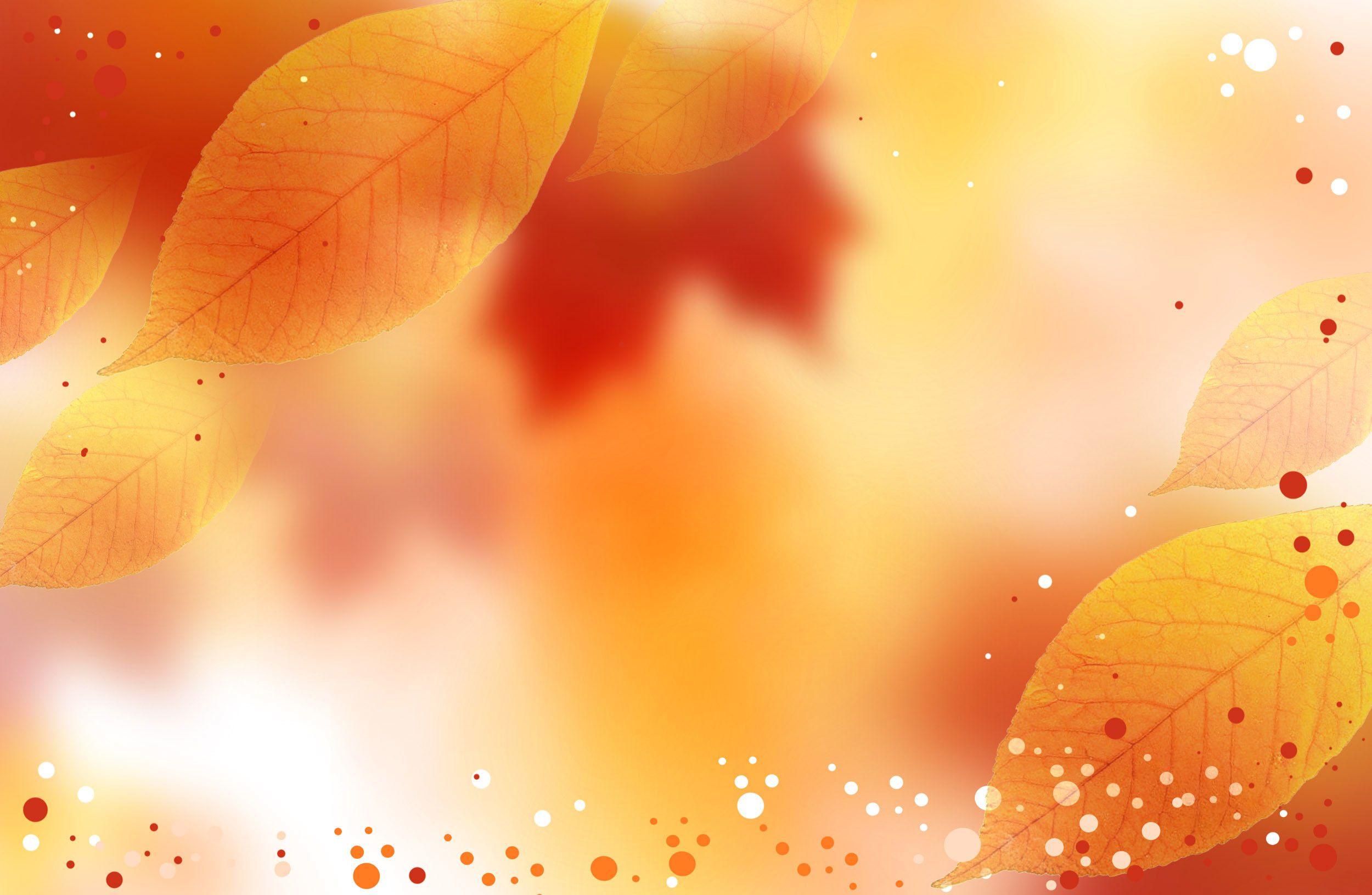 2500x1630 Autumn Background