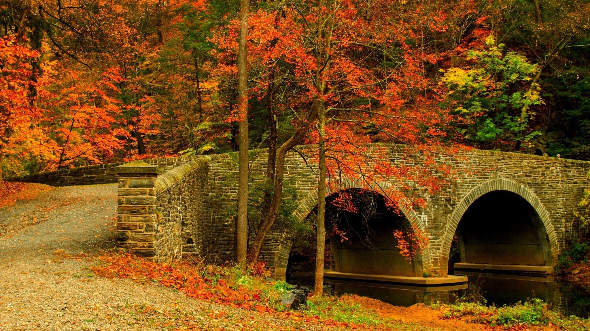 2048x1152 Nature road leaves trees forest park bridge colorful path autumn wallpaperx1152