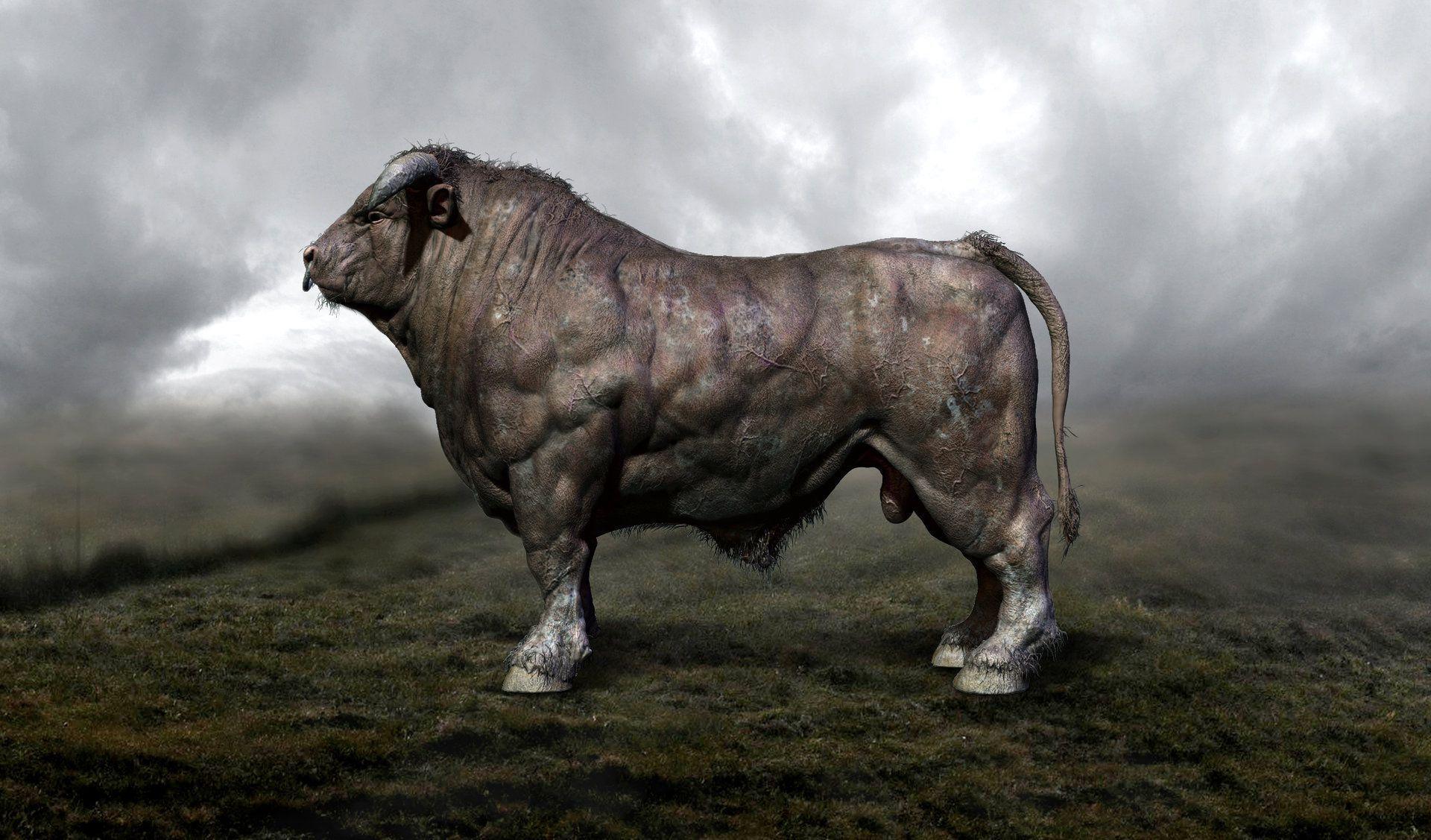 Angry Bull Vector Royalty-Free Stock Image - Storyblocks