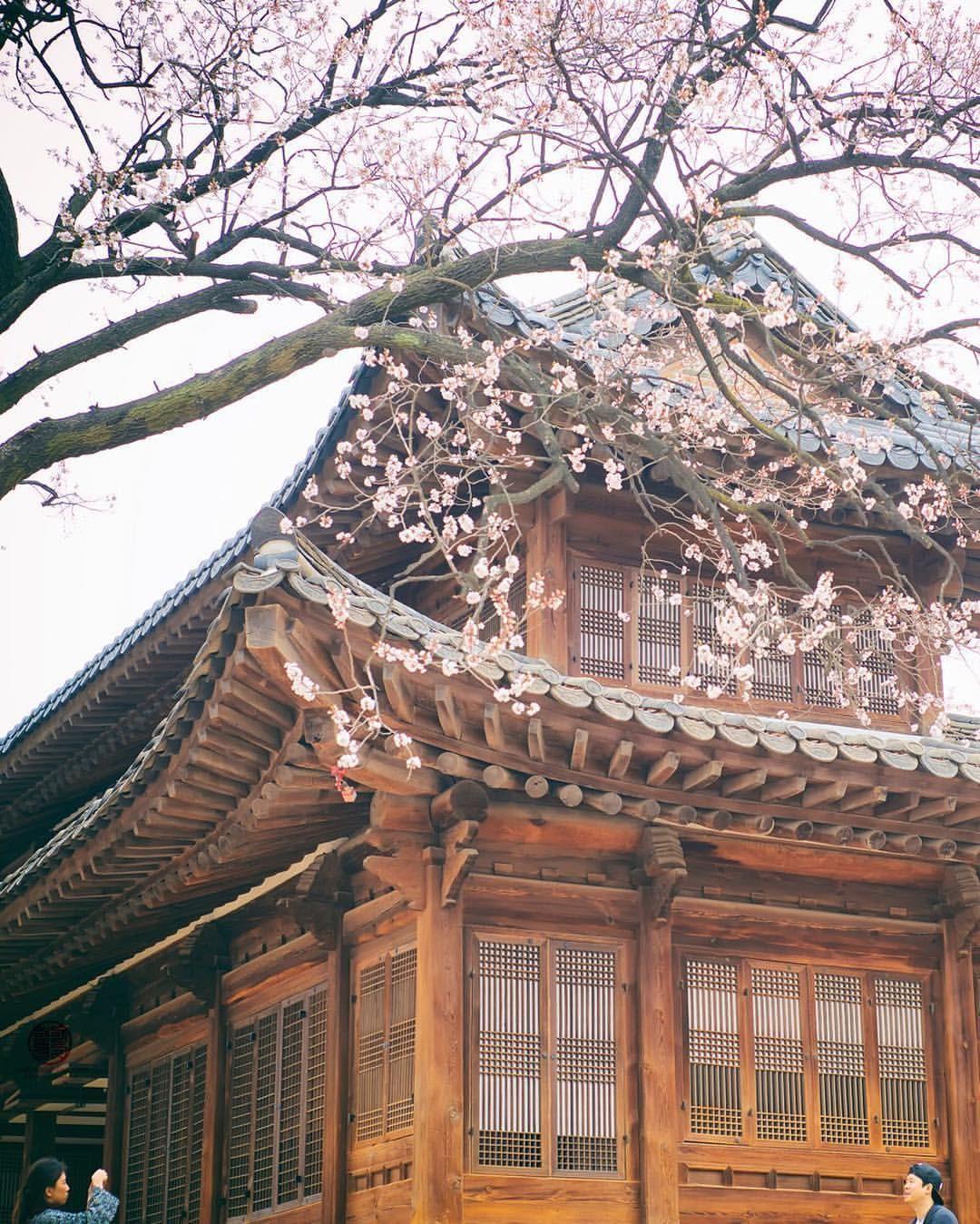 1080x1349 South Korea. South korea photography, South korea travel, Korea travel