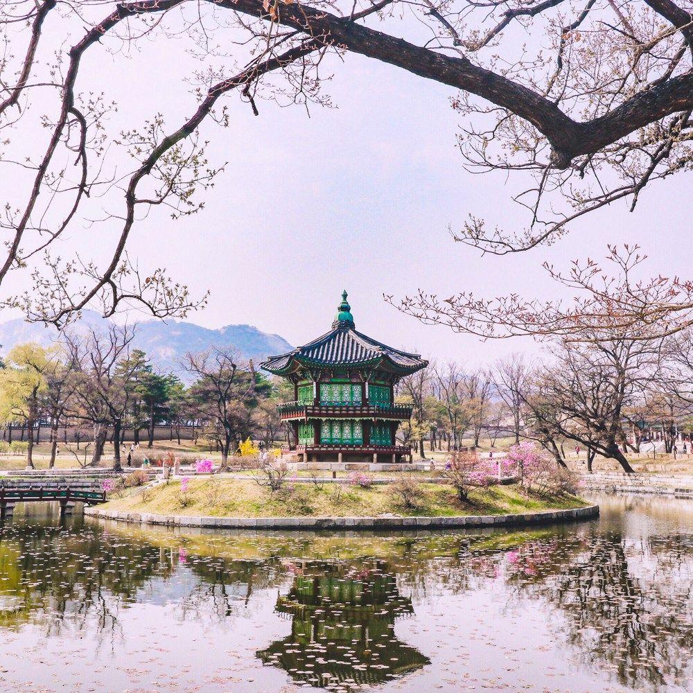 1000x1000 Spring in Korea: 40 Photo to Convince You It's the Best Time to Visit South Korea. South korea, South korea travel, Ancient korea