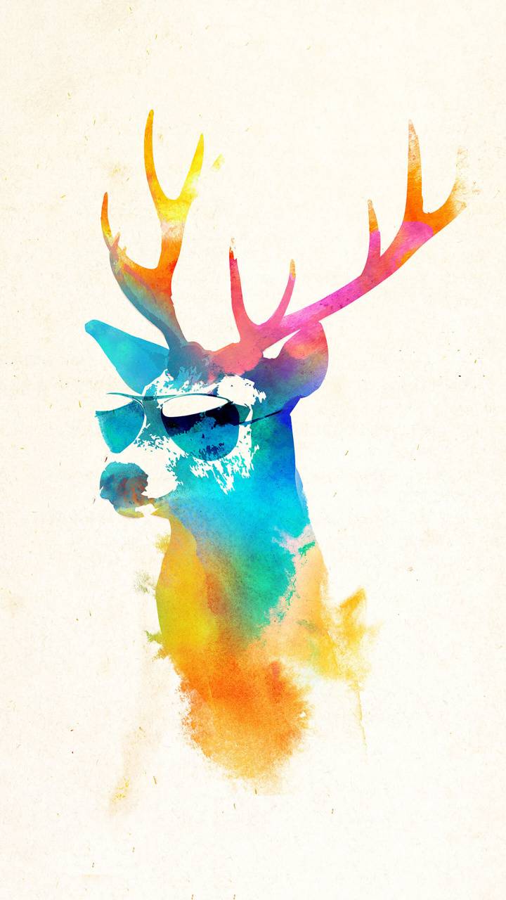 Cool Deer Wallpapers Top Free Cool