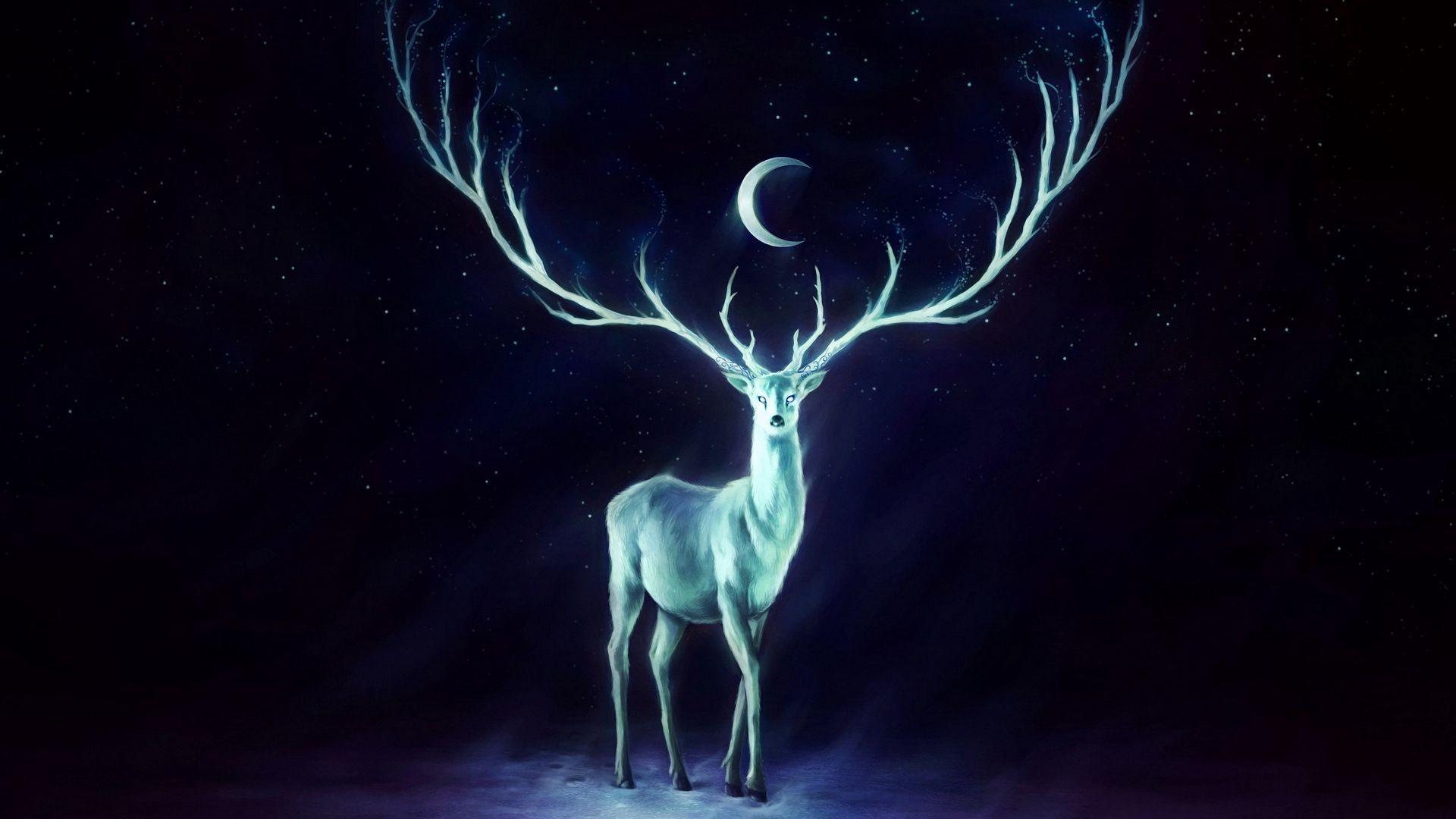 1920x1080 Wallpaper deer, horns, moon .com