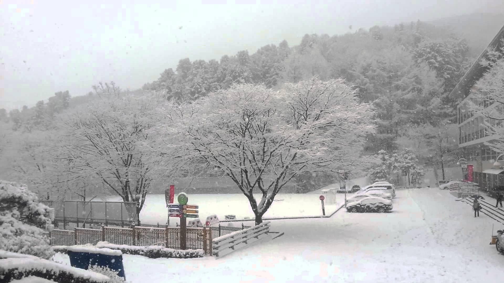 1920x1080 Winter South Korea Wallpaper