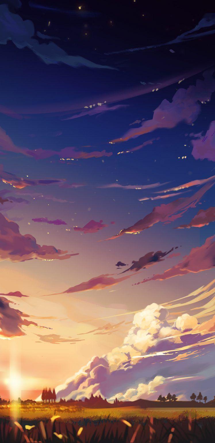 748x1538 portrait display, Sky, Clouds, Sunset Wallpaper HD / Desktop and Mobile Background