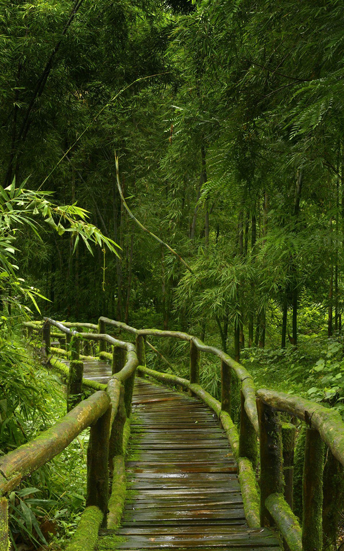 1200x1920 Vertical Wallpaper 1200x1920
