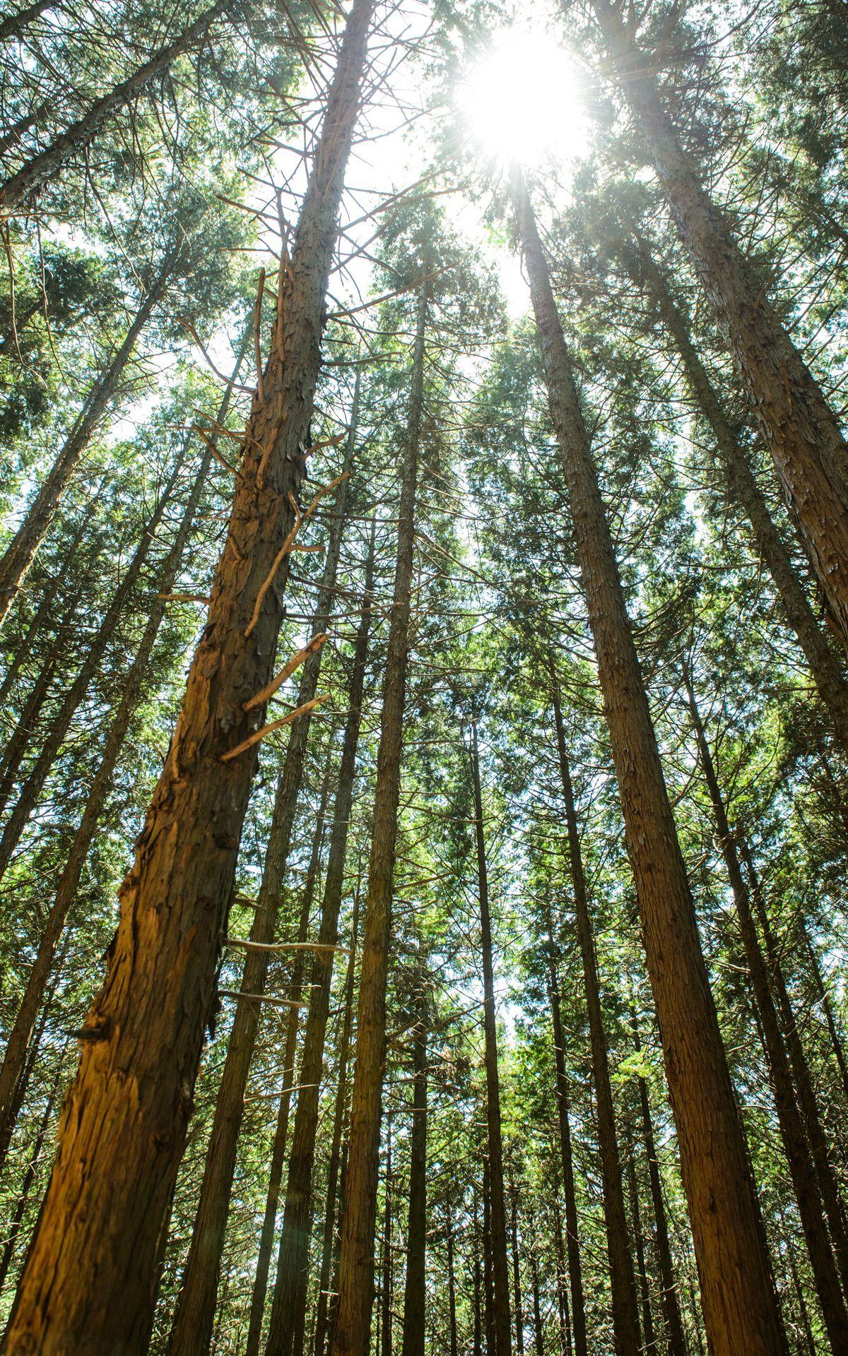 1200x1920 Flickriver Photoet Vertical Wallpaper x by johnsonl. Wallpaper, Background, Background desktop