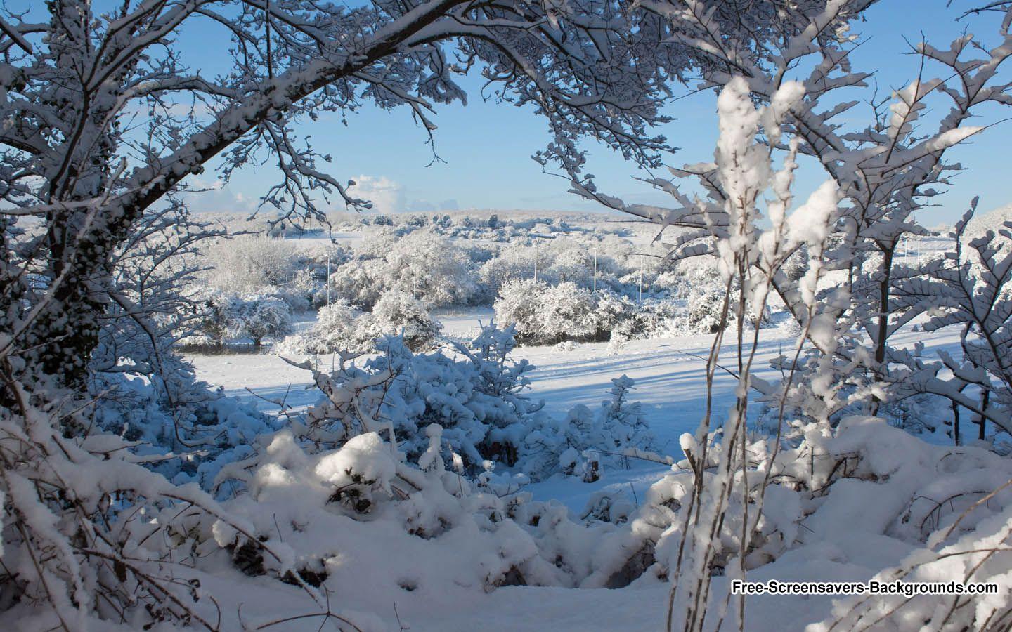 1440x900 Free download Snow Fields in South Wales and Background [1440x900] for your Desktop, Mobile & Tablet. Explore Google Winter Wallpaper. Google Wallpaper Image, Google Wallpaper And