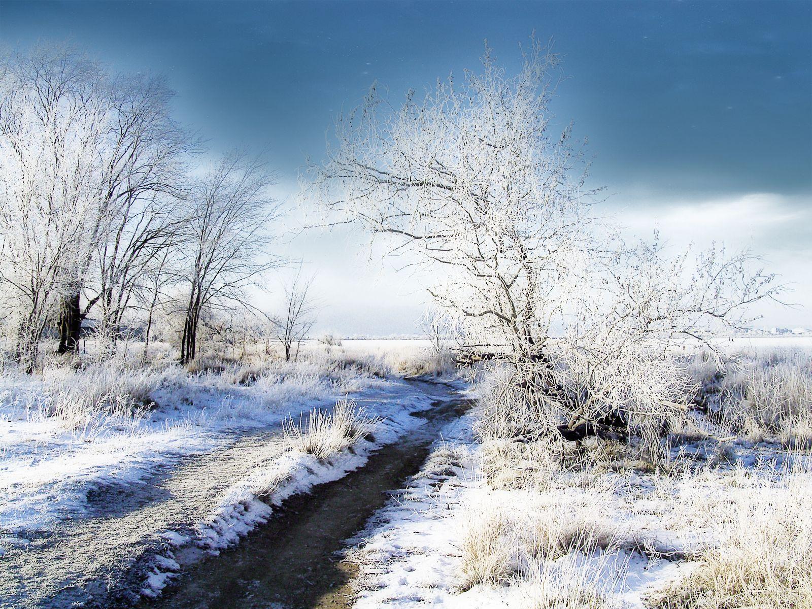 1600x1200 Free Wallpaper Picture For Desktop Wallpaper & Background Download