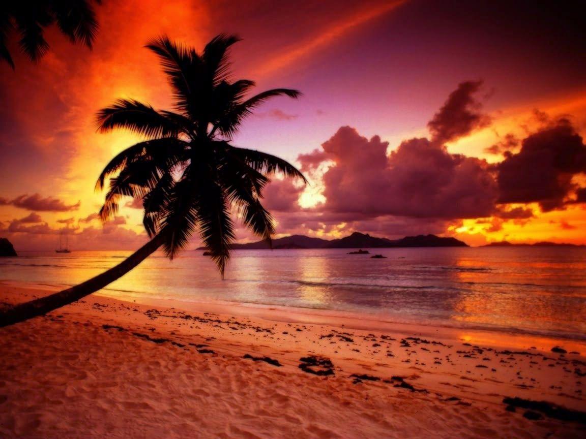 1152x864 Sunset Beach Paradise