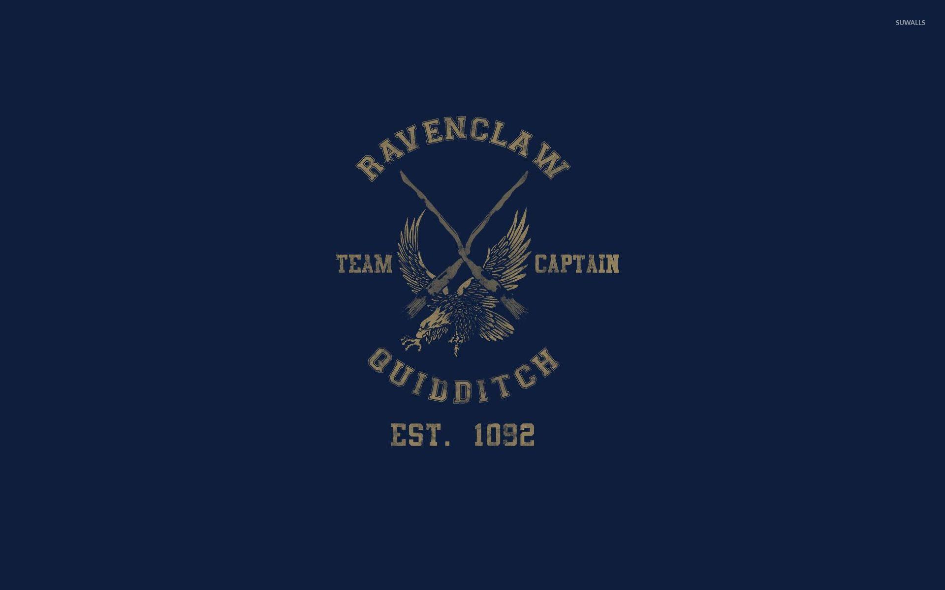 1920x1200 Slytherin Quidditch Team Seeker Wallpaper