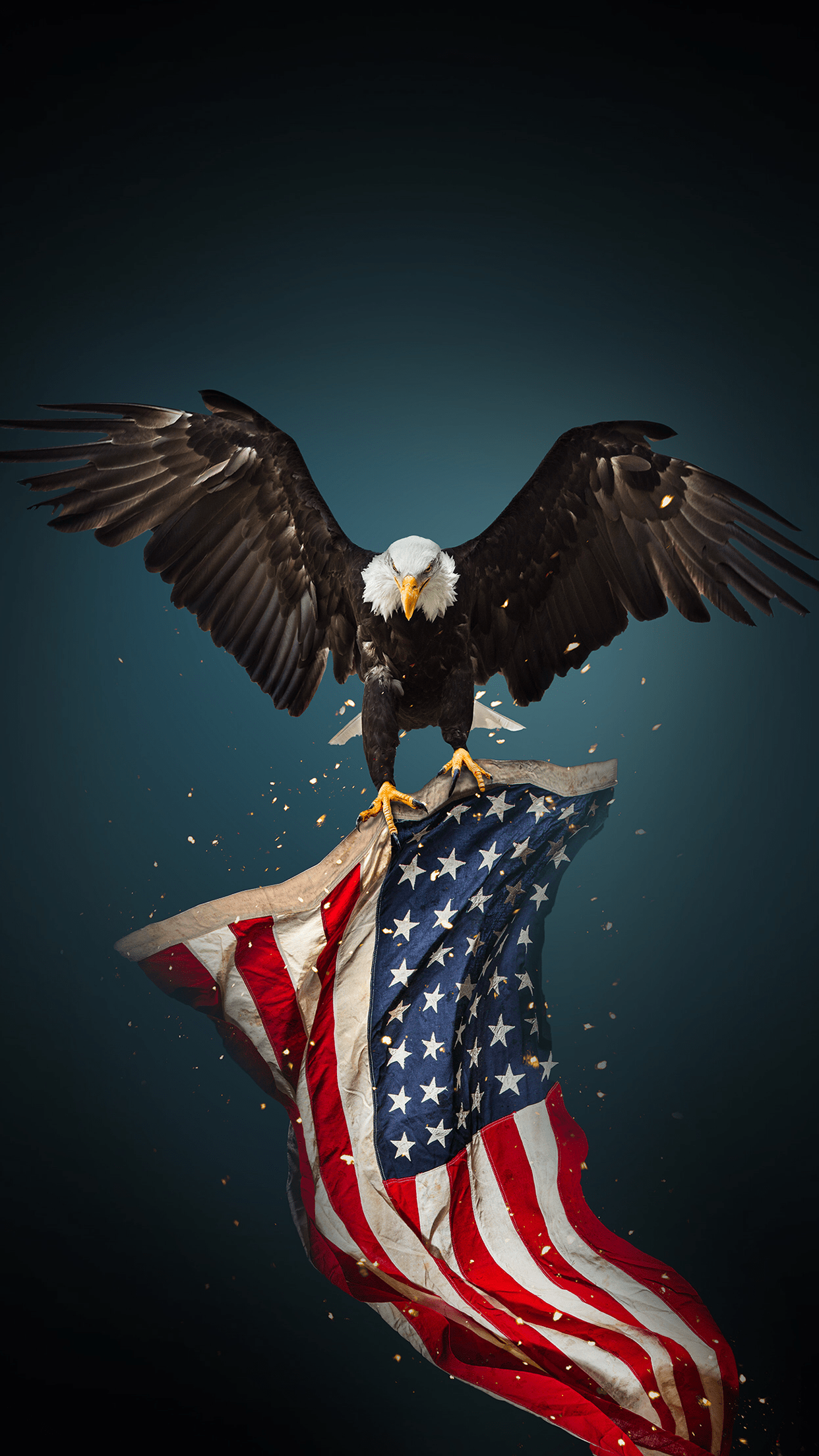 49 American Flag with Eagle Wallpaper  WallpaperSafari