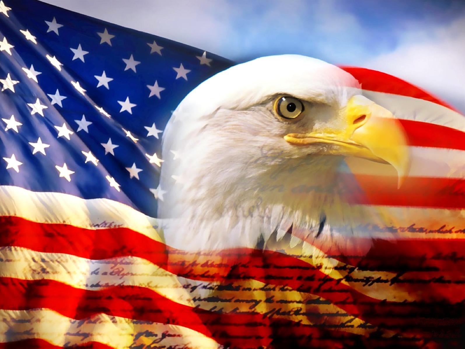 1594x1196 Download Bald Eagle American Flag Wallpaper Gallery