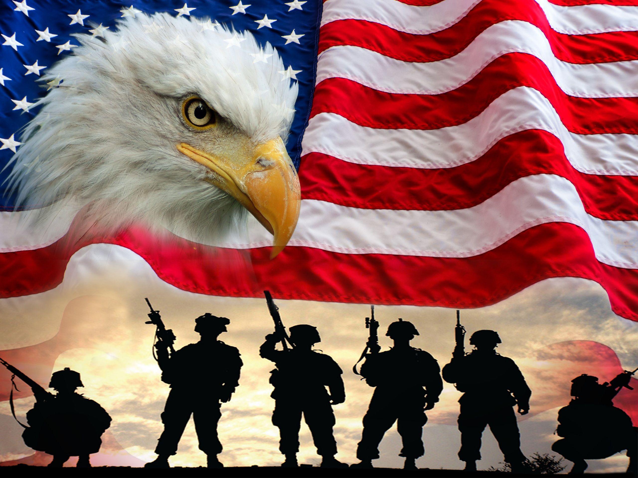 2560x1920 Picture Bald Eagle Birds USA Soldiers Silhouette Beak 2560x1920