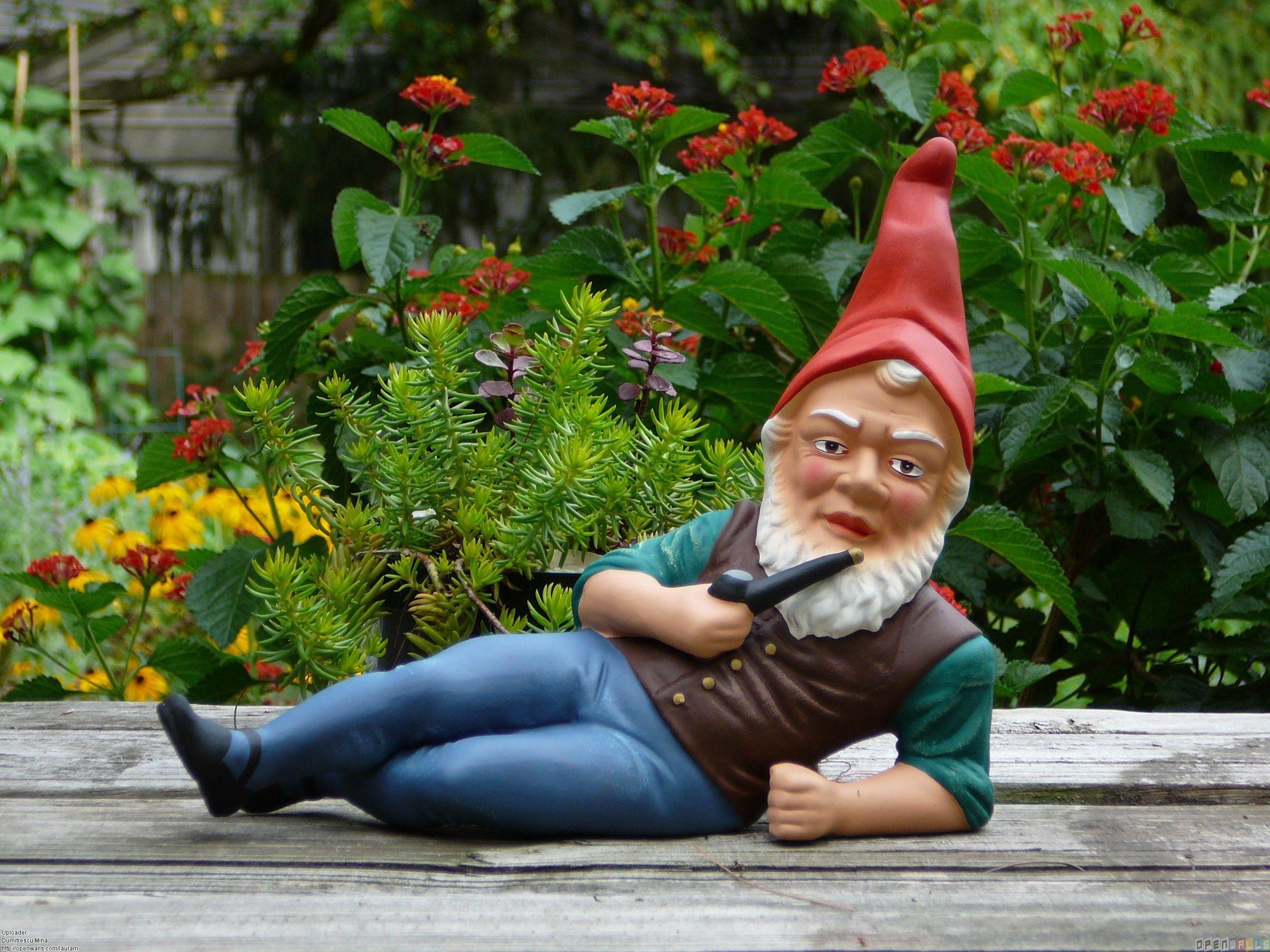 Garden Gnome Wallpapers Top Free Garden Gnome Backgrounds