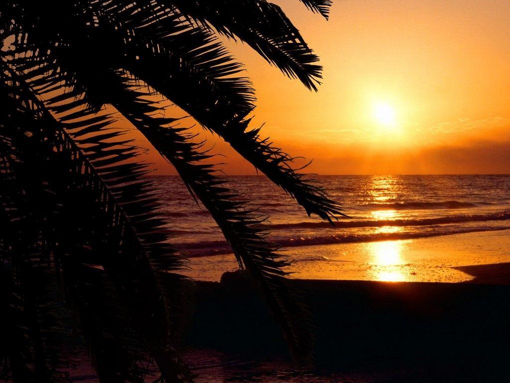 1024x768 Beach Sunset Wallpaper. Desktop Background for Free HD Wallpaper