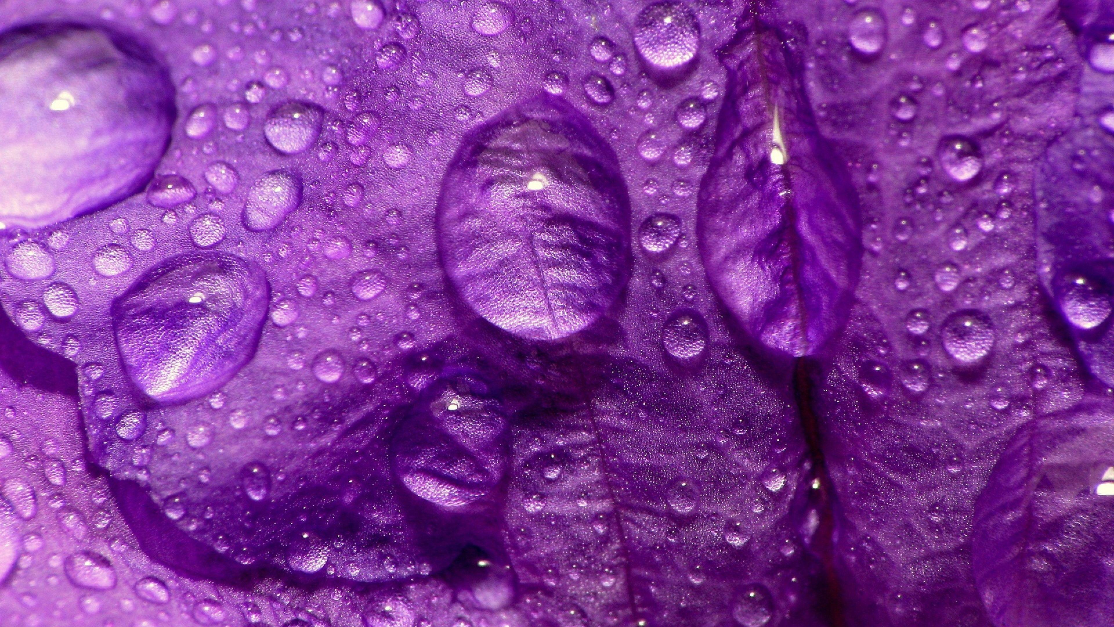 3840x2160 Large Wallpaper, Large Background for PC Resolution New