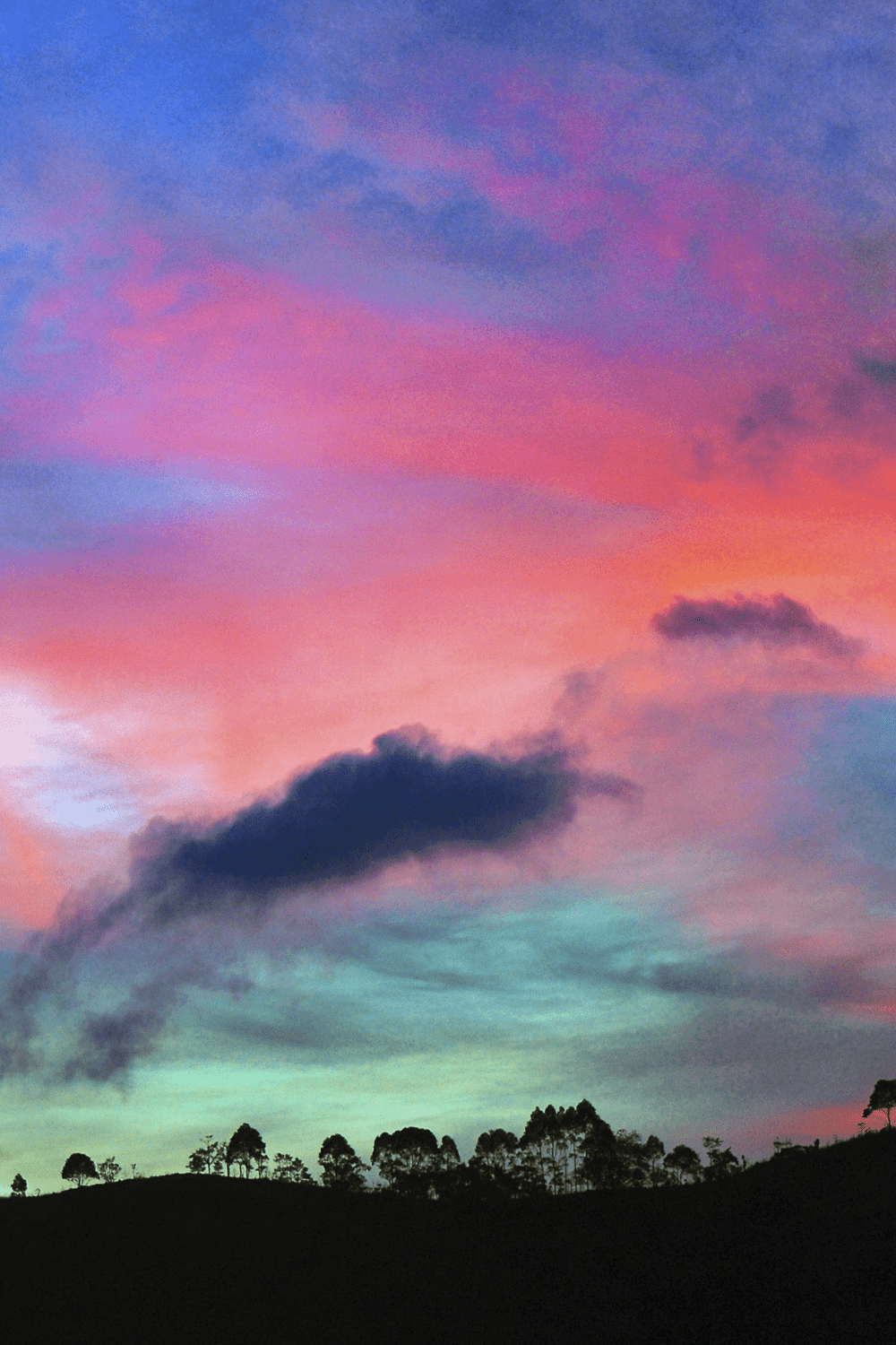 1000x1500 Airbnbs In Tampa, Florida For Your Weekend Trip 2020. Sunset iphone wallpaper, Pretty sky, Beautiful sunset