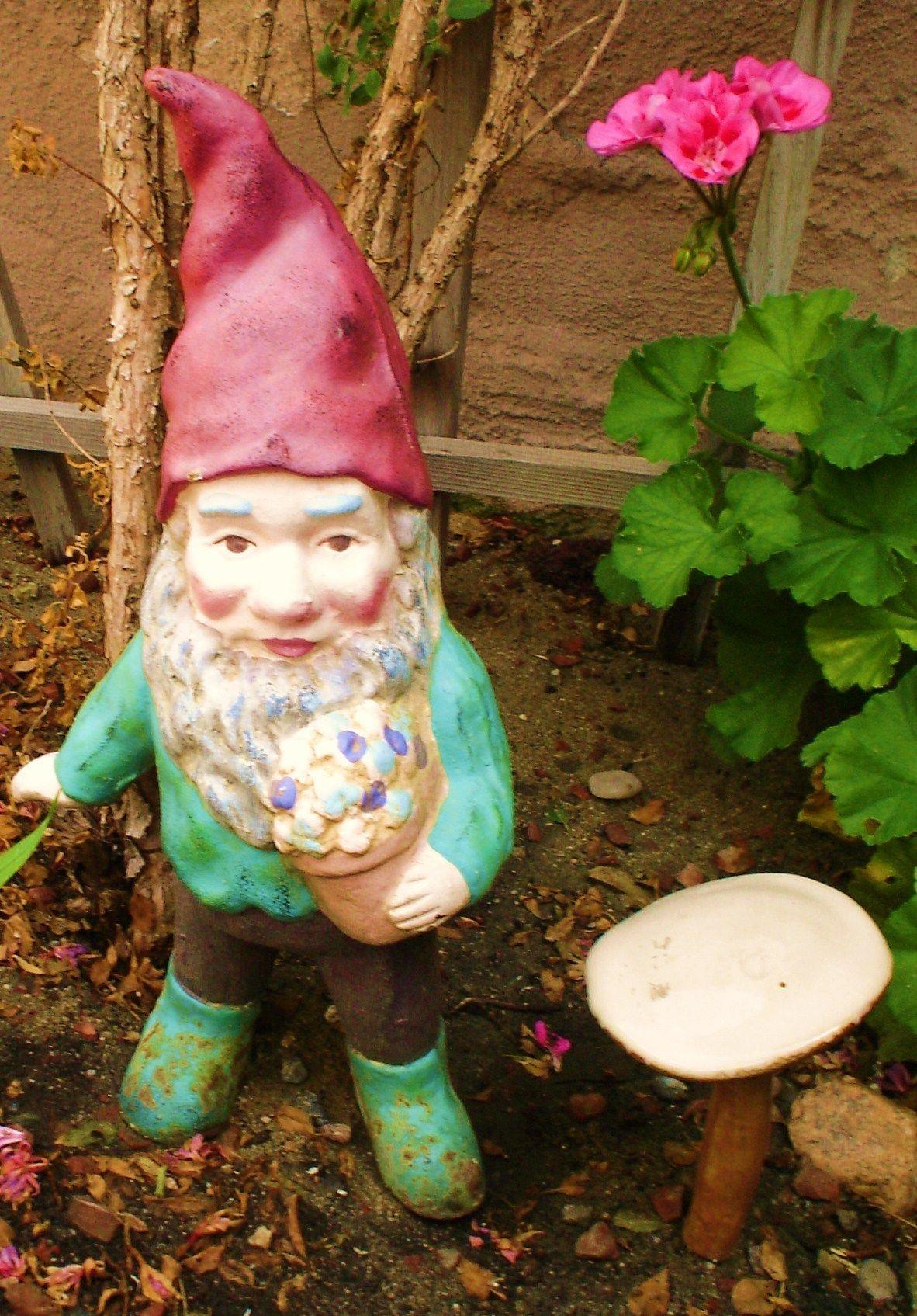 Garden Gnome Wallpapers - Top Free Garden Gnome Backgrounds ...